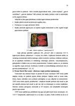 Referāts 'Iepakojums – uzņēmuma konkurētspējīgā priekšrocība', 24.