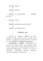 Referāts 'Darba konflikti', 7.