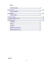 Prakses atskaite 'Vīrusu ietekme cilvēka organismā', 3.