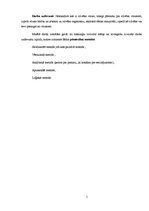 Prakses atskaite 'Vīrusu ietekme cilvēka organismā', 5.