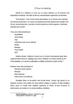 Prakses atskaite 'Vīrusu ietekme cilvēka organismā', 8.