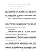 Prakses atskaite 'Vīrusu ietekme cilvēka organismā', 10.