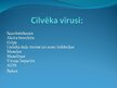 Prakses atskaite 'Vīrusu ietekme cilvēka organismā', 39.