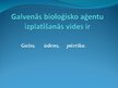 Prakses atskaite 'Vīrusu ietekme cilvēka organismā', 40.