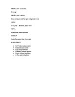 Paraugs 'Pilsētas egles iedegšana', 2.