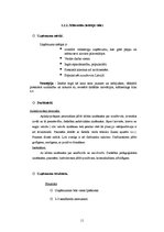 Biznesa plāns 'Sabiedrība ar ierobežotu atbildību "Smilšu kalns"', 11.