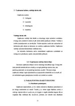 Biznesa plāns 'Sabiedrība ar ierobežotu atbildību "Smilšu kalns"', 13.