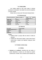 Biznesa plāns 'Sabiedrība ar ierobežotu atbildību "Smilšu kalns"', 23.