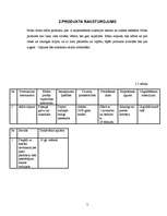 Biznesa plāns 'Biznesa plāns', 5.