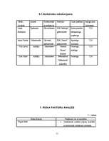 Biznesa plāns 'Biznesa plāns', 11.