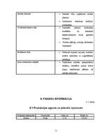 Biznesa plāns 'Biznesa plāns', 12.