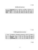 Biznesa plāns 'Biznesa plāns', 13.