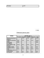 Biznesa plāns 'Biznesa plāns', 15.