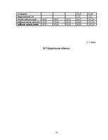 Biznesa plāns 'Biznesa plāns', 16.