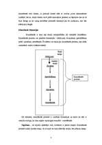 Referāts 'Prasme klausīties', 8.