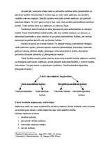 Konspekts 'Valsts loma tirgus ekonomikā. Fiskālā politika, budžeta deficīts un valsts parād', 2.