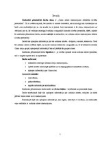 Referāts 'Gaisa zīmju raksturojuma atbilstība cilvēka personībai', 5.