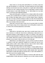 Referāts 'Gaisa zīmju raksturojuma atbilstība cilvēka personībai', 20.