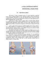 Referāts 'Ceļa locītavas anatomija,stabilitāte un kinemātika', 4.