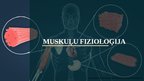 Prezentācija 'Muskuļu fizioloģija', 1.