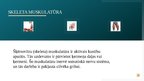 Prezentācija 'Muskuļu fizioloģija', 4.
