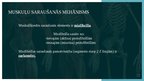 Prezentācija 'Muskuļu fizioloģija', 23.
