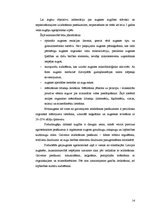 Konspekts 'Mēslošanas plāns modeļsaimniecībā "Zelmeņi"', 14.