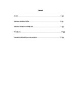 Referāts 'Interneta reklāma un tās novērtējums', 1.