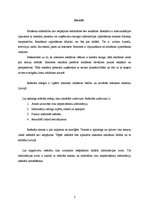 Referāts 'Interneta reklāma un tās novērtējums', 2.