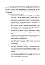 Referāts 'Interneta reklāma un tās novērtējums', 5.