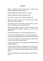 Referāts 'Interneta reklāma un tās novērtējums', 9.