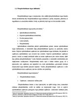 Referāts 'Pārapdrošināšanas būtība un nozīme apdrošināšanas tirgū', 7.