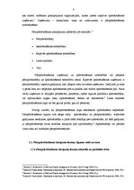 Referāts 'Pārapdrošināšanas būtība un nozīme apdrošināšanas tirgū', 8.