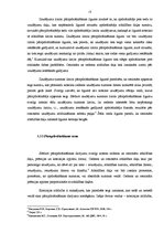 Referāts 'Pārapdrošināšanas būtība un nozīme apdrošināšanas tirgū', 12.