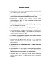 Referāts 'Pārapdrošināšanas būtība un nozīme apdrošināšanas tirgū', 34.