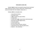 Konspekts 'Lietišķo rakstu valodas stili', 4.