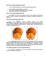 Referāts 'Suns - neredzīga cilvēka pavadonis', 7.
