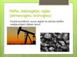 Prezentācija 'Dabas resursi, enerģētiskie resursi', 7.
