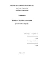 Referāts 'Saldējuma ražošanas procesa automatizācija', 1.