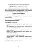 Referāts 'Saldējuma ražošanas procesa automatizācija', 11.