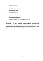 Referāts 'Saldējuma ražošanas procesa automatizācija', 16.