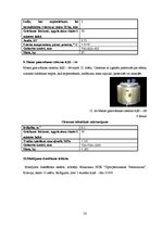 Referāts 'Saldējuma ražošanas procesa automatizācija', 23.