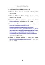 Referāts 'Saldējuma ražošanas procesa automatizācija', 40.