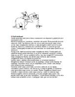 Referāts 'Tava jūra sākas tavā vannas istabā', 12.