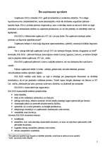 Referāts 'SIA "X" personāla vadība un tās problēmas', 2.