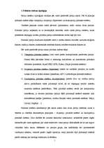 Referāts 'Vienpartiju un daudzpartiju politisko sistēmu salīdzinājums', 5.