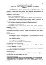 Referāts 'Iekšlietu ministrijas uzdevumi, funkcijas un loma tiesībaizsardzības iestāžu meh', 6.