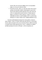 Eseja 'Atmiņas procesi', 7.