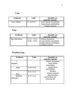 Referāts 'Mārketinga analīze viesnīcu pakalpojumiem', 32.