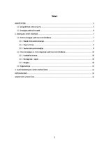 Referāts 'Ilgtspējīgas energoapgādes iespējas', 2.